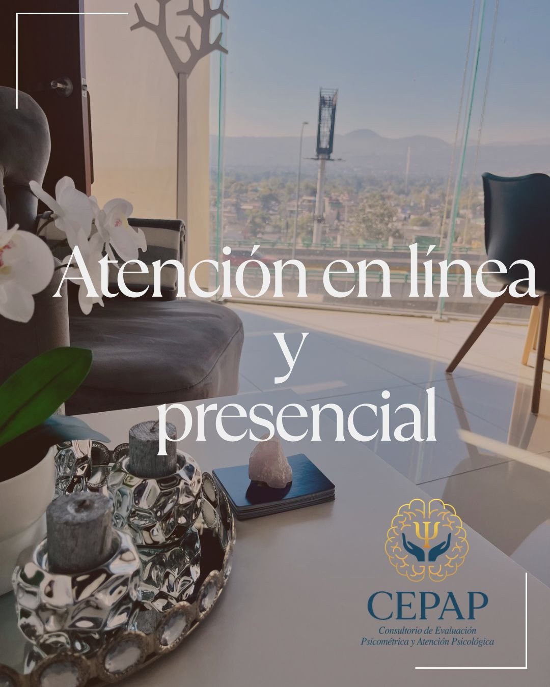 Cecap002