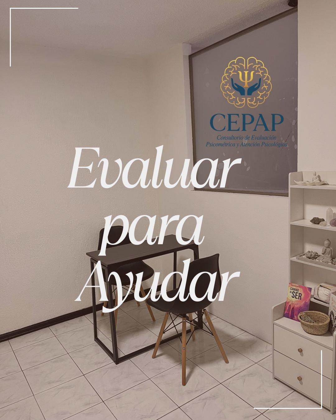cecap003